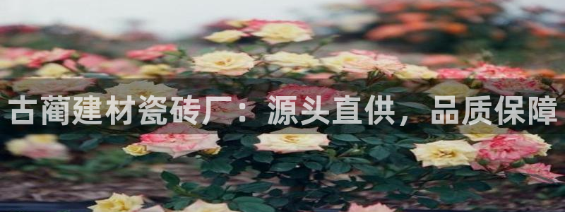 杏鑫平台直属哪个公司