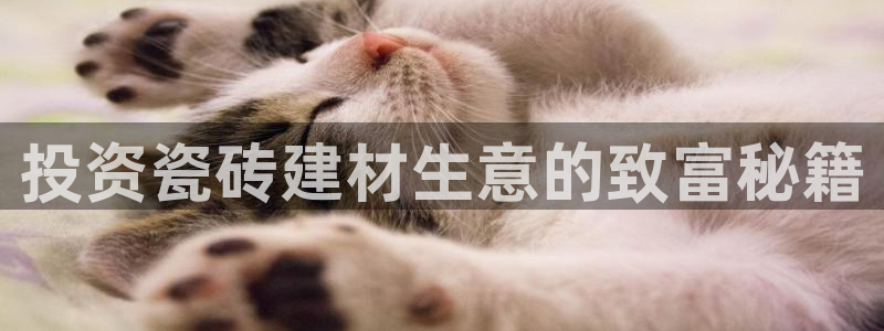杏鑫娱乐是真的吗