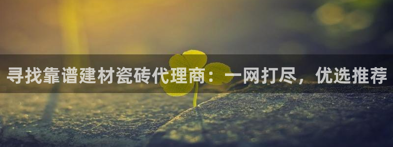 杏鑫官网注册账号是什么意思