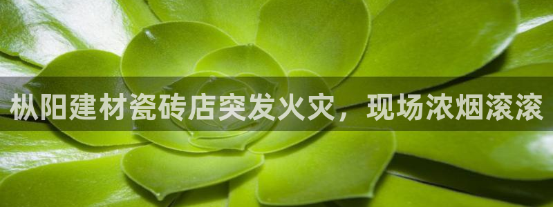 杏鑫平台招商电话号码查询