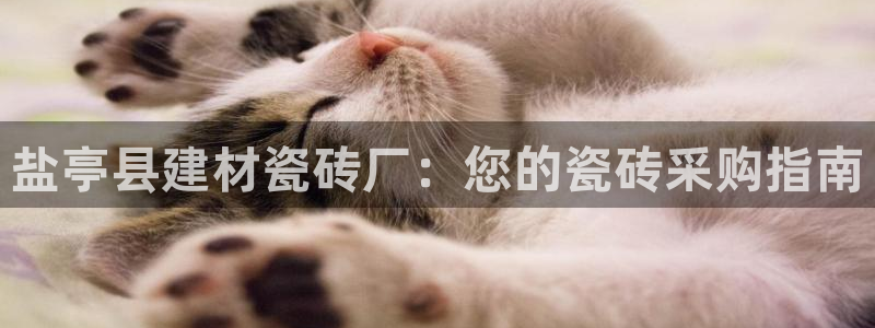 杏鑫平台下载安装