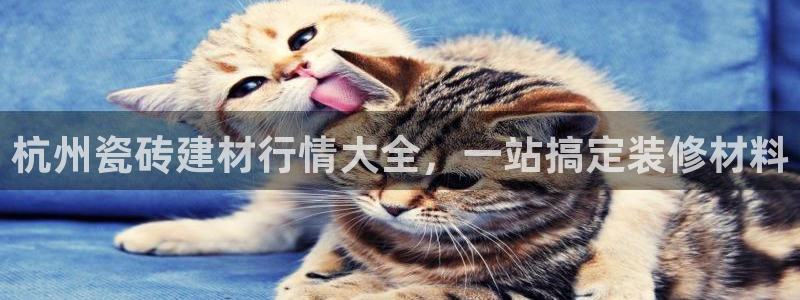 杏鑫娱乐是真的吗还是假的