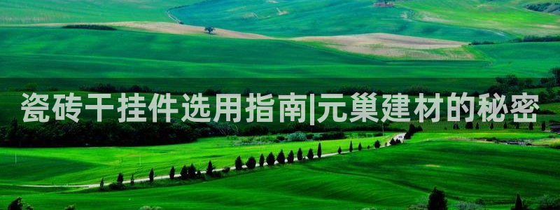 杏鑫平台代理怎么样啊