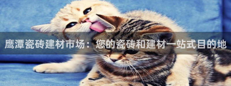 杏鑫平台招商电话号码是多少