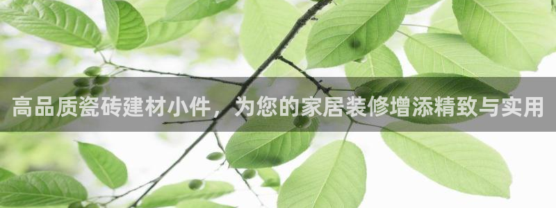 杏鑫娱乐怎么下
