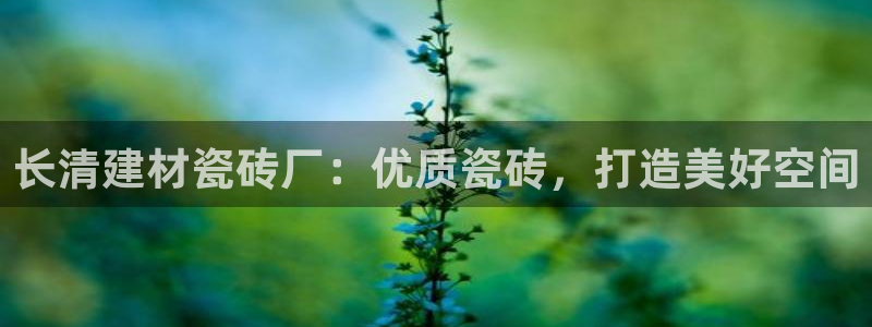 杏鑫平台招商电话号码是多少