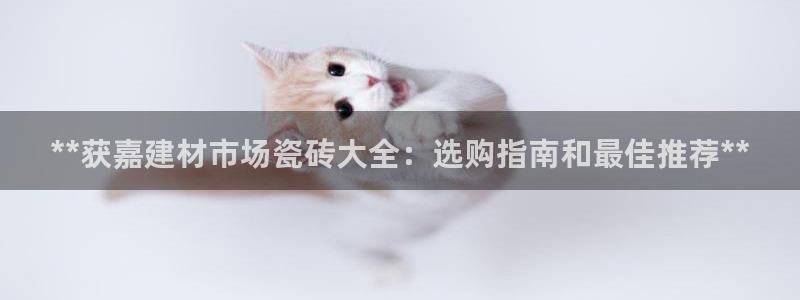 杏鑫官网注册账号怎么注册不了