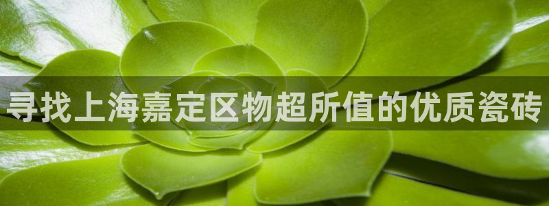 杏鑫平台是黑平台吗是真的吗