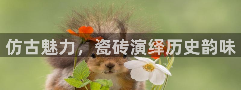 杏鑫平台注册地址是哪里