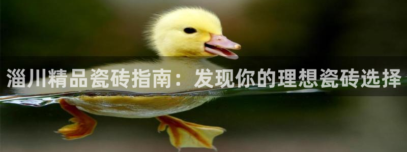 杏鑫平台怎么样