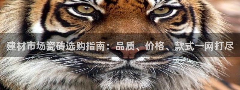 杏鑫平台登陆