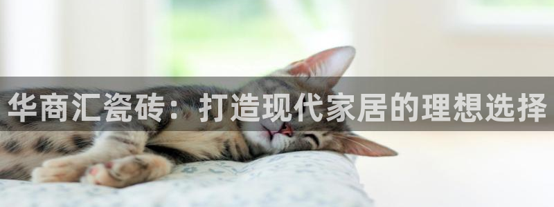 杏鑫登录测速