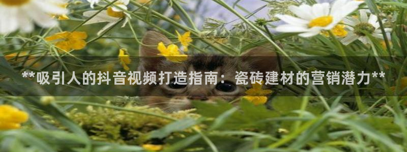 杏鑫注册登录网址是多少