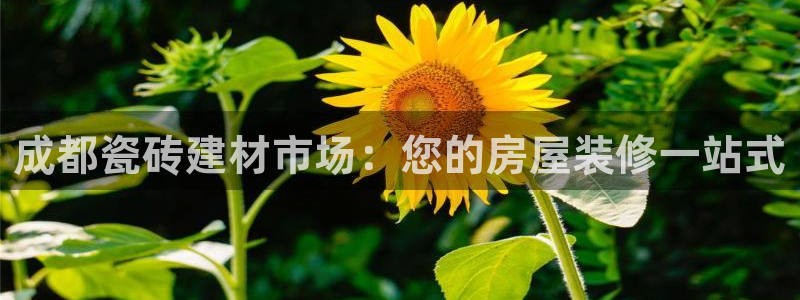 杏鑫平台是黑平台吗是真的吗