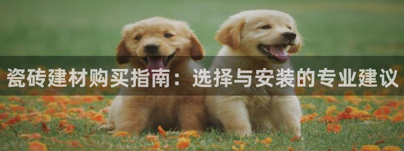 杏鑫手机客户端