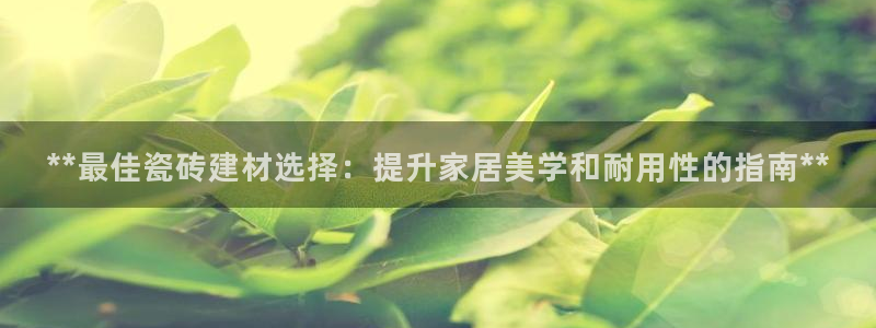 杏鑫招商总代