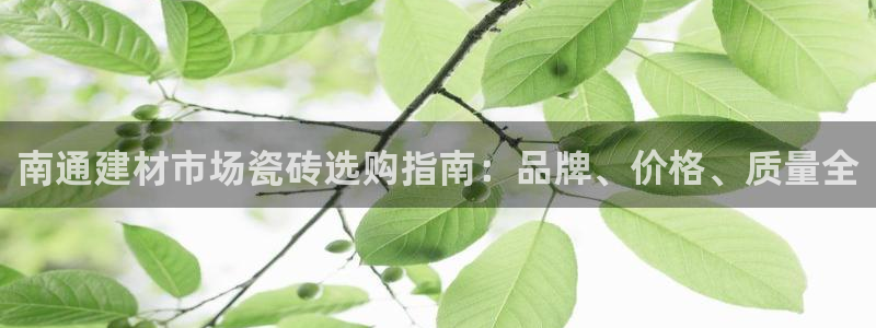 杏鑫平台代理注册多少钱