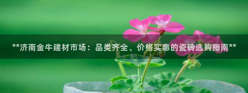 杏鑫平台在线注册流程