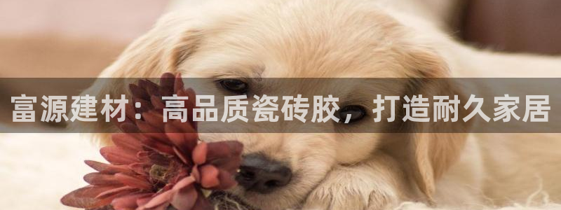 杏鑫娱乐官网登录