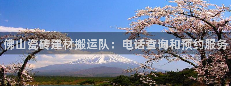 杏鑫平台代理注册流程图