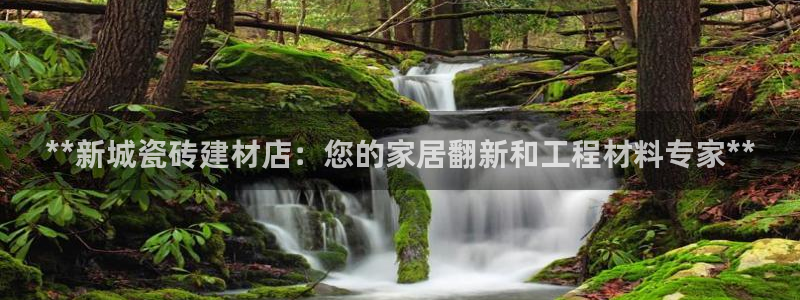 杏鑫代理注册平台