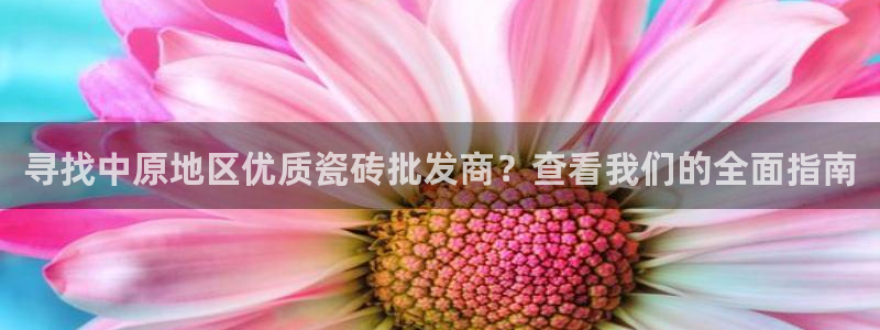 杏鑫登录注册