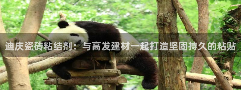杏鑫注册登录网