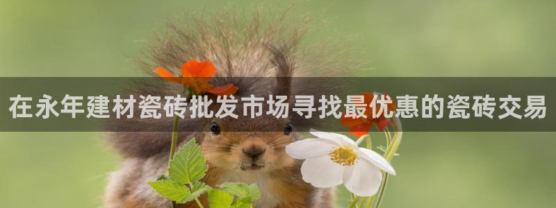 杏鑫娱乐官网下载