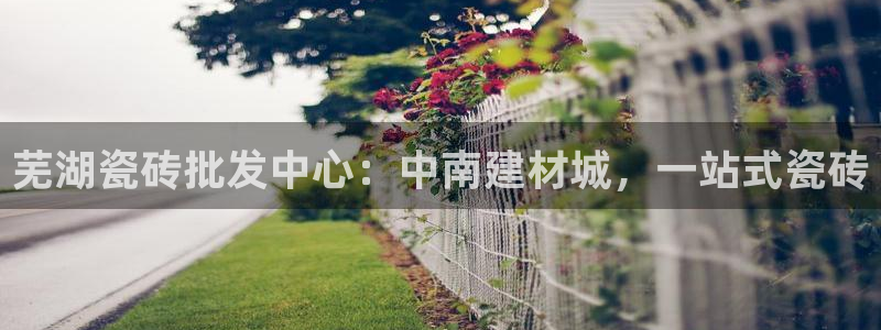 杏鑫平台代理注册登录不了怎么办呀
