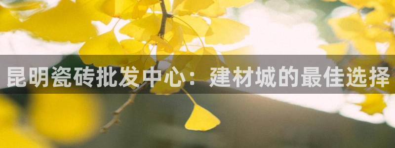 杏鑫注册平台官方网站下载