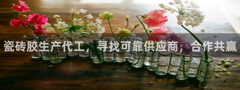 杏鑫平台招商