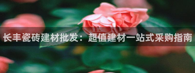 杏鑫官网注册账号怎么注册不了