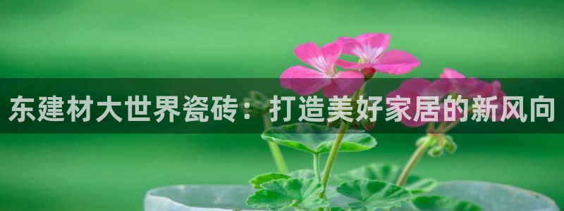 杏鑫平台怎么样知乎
