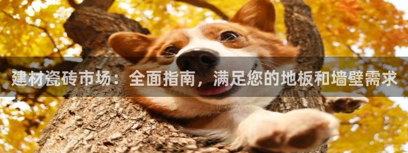 杏鑫招商总代