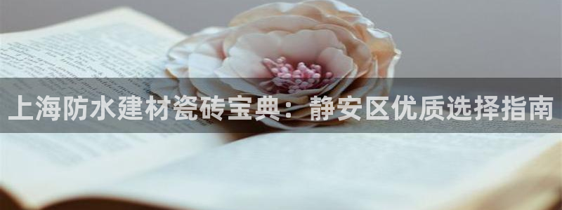 杏鑫平台注册地址在哪里