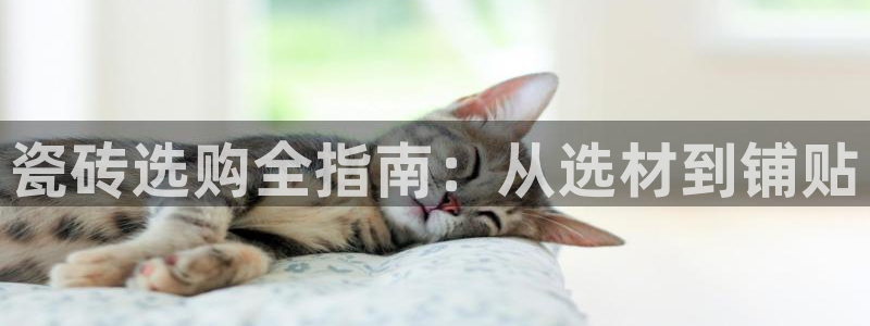 杏鑫娱乐是真的吗知乎