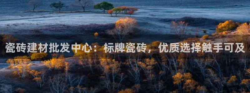 杏鑫平台代理注册流程及费用