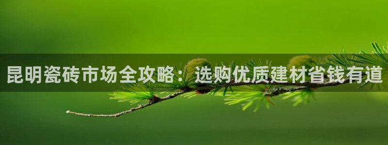 杏鑫平台在线注册怎么注册