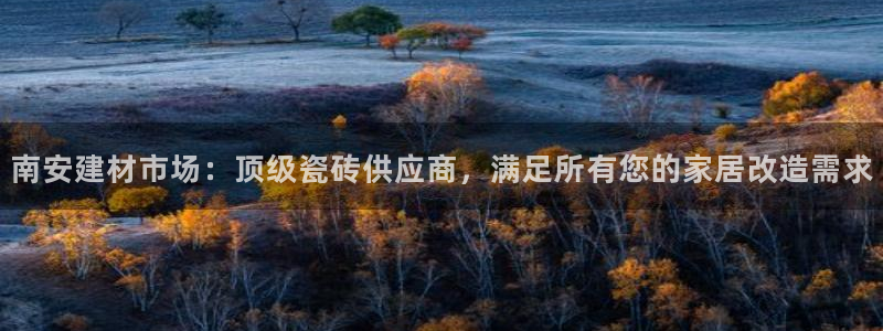 杏鑫平台代理注册流程