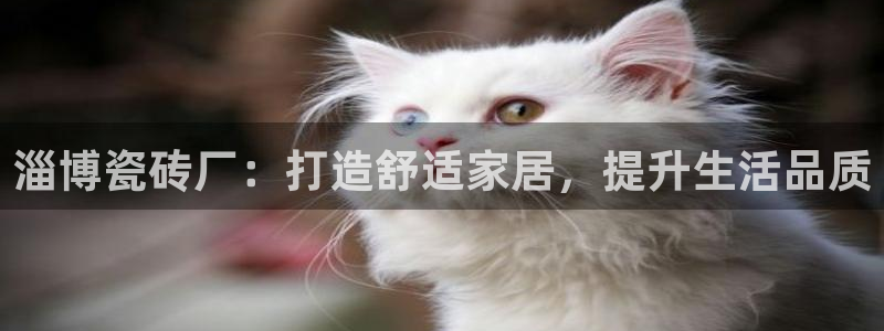 杏鑫平台招商电话是多少