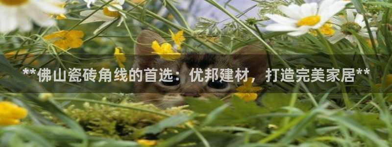 杏鑫平台在线注册流程