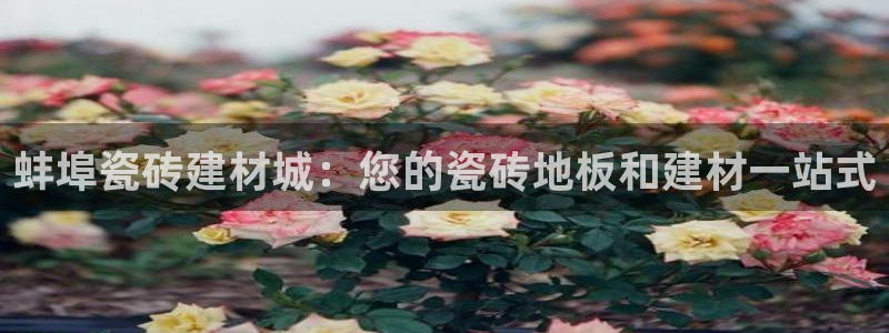 杏鑫平台怎么样黑钱吗是真的吗吗