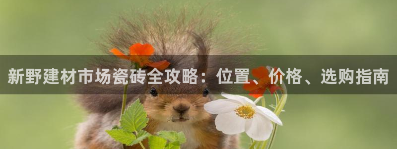 杏鑫平台正规吗