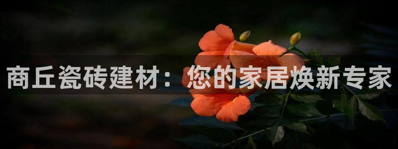 杏鑫平台代理怎么做的