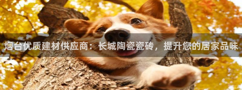 杏鑫平台怎么样知乎
