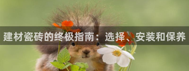 杏鑫平台待遇