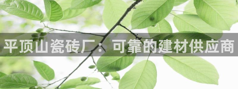 杏鑫娱乐官网下载