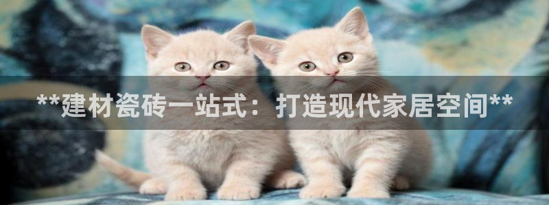 杏鑫平台招商电话是多少