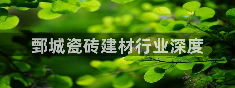 杏鑫平台代理注册流程图