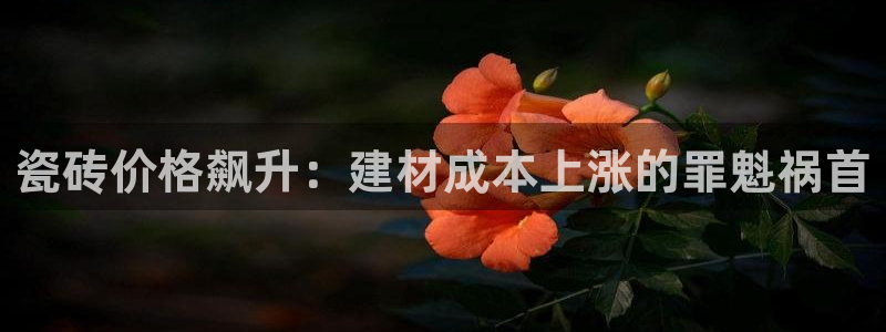 杏鑫娱乐平台